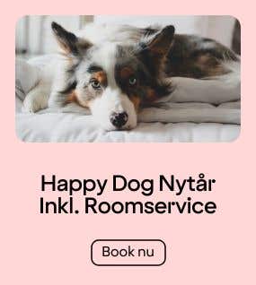 Happy Dog - Room & Roomservice