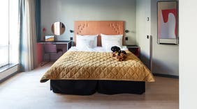 Deluxe værelse med redt seng , teddybjørn på sengen og arbejdsplads hos Clarion Hotel Örebro 